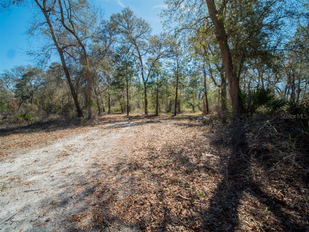 3949 184th Street Wellborn FL 32094 GC529133 image30