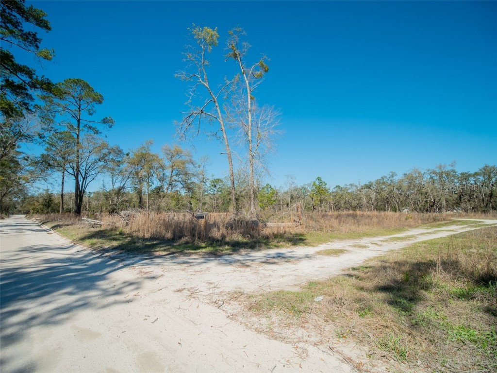 3949 184th Street Wellborn FL 32094 GC529133 image33
