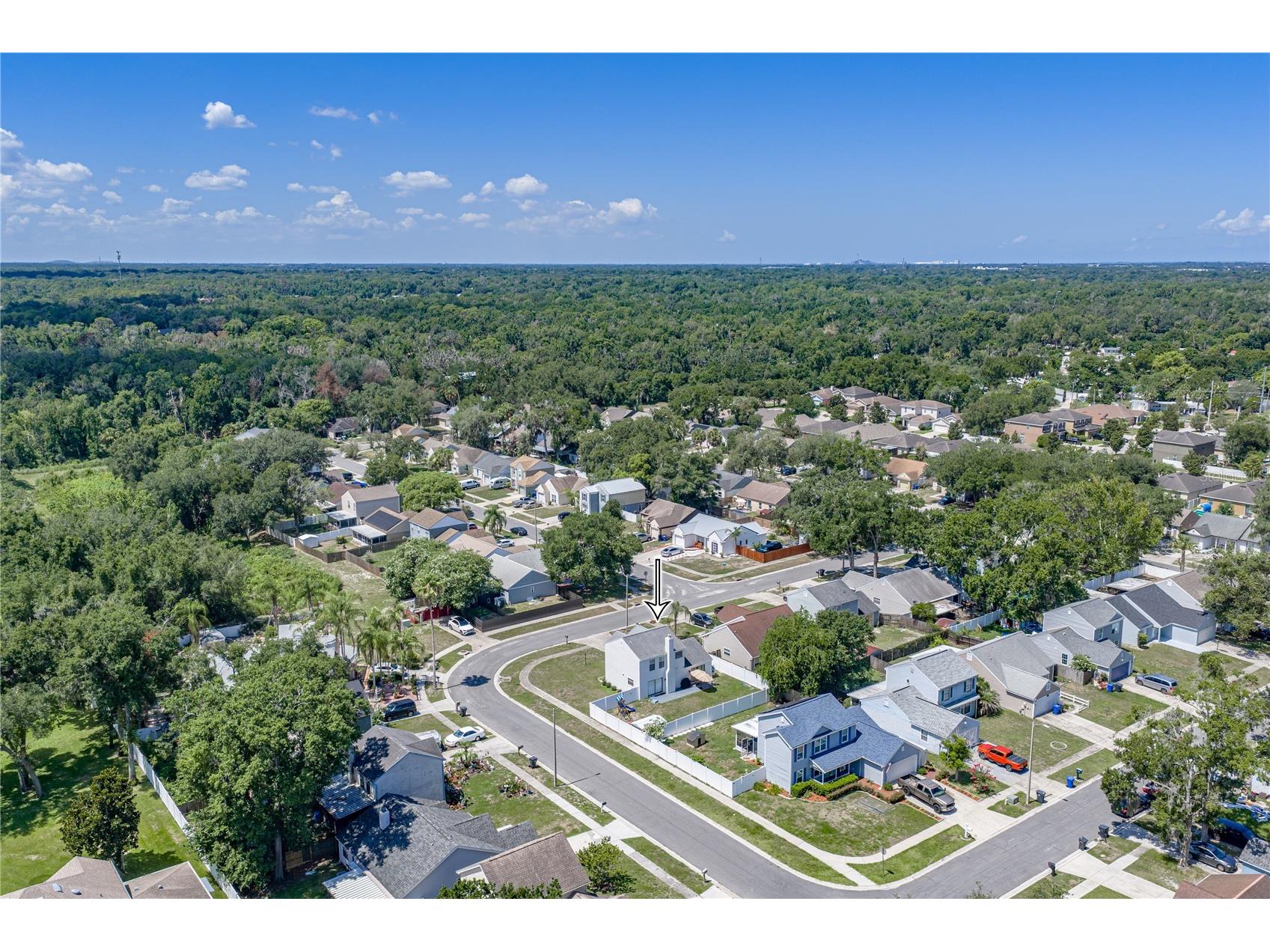 3949 King Drive Brandon FL 33511 TB8523763 image55
