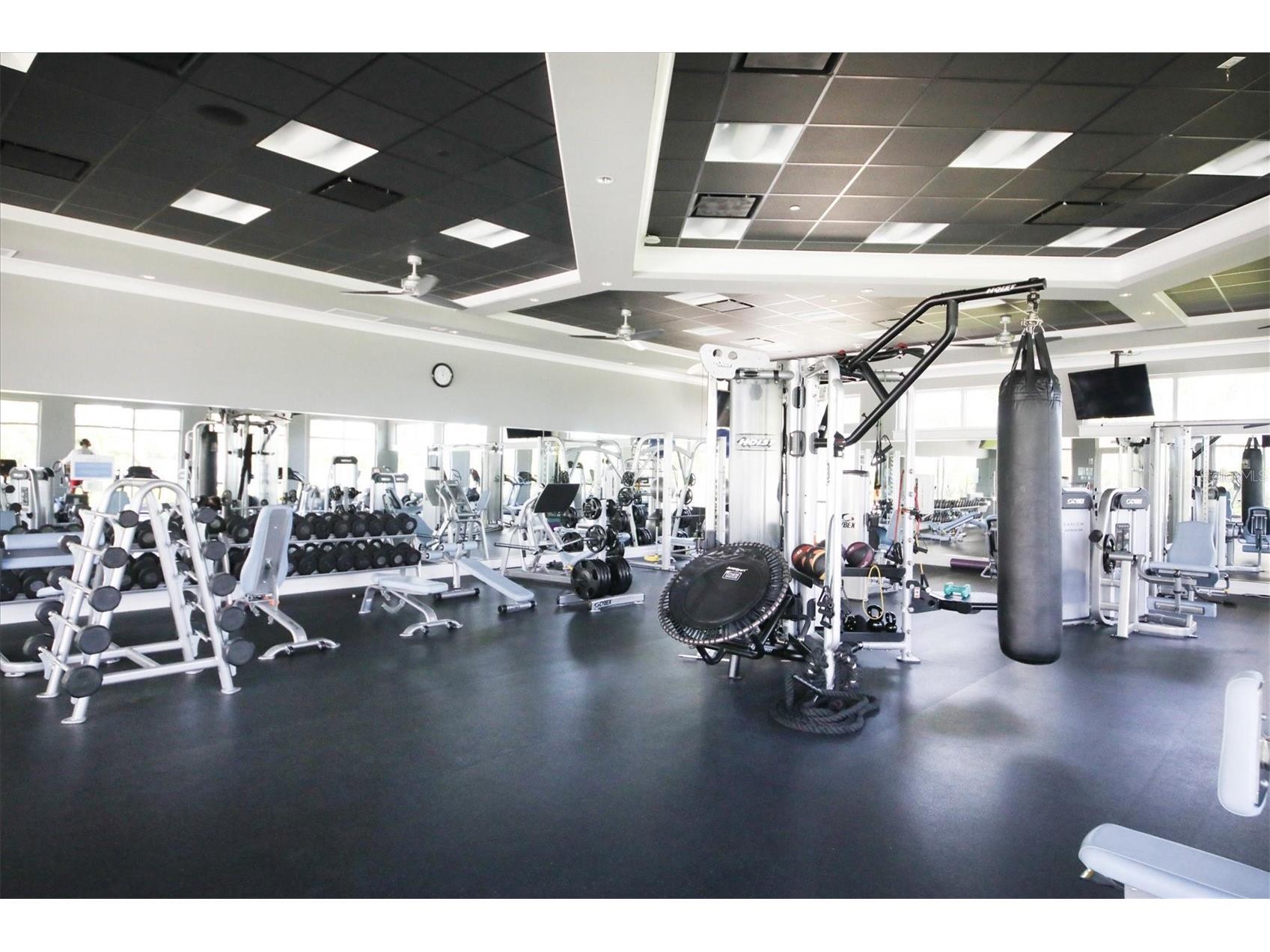 395 Aruba Circle #303 Bradenton FL 34209 - ANNA MARIA SOUND A4679886 image51