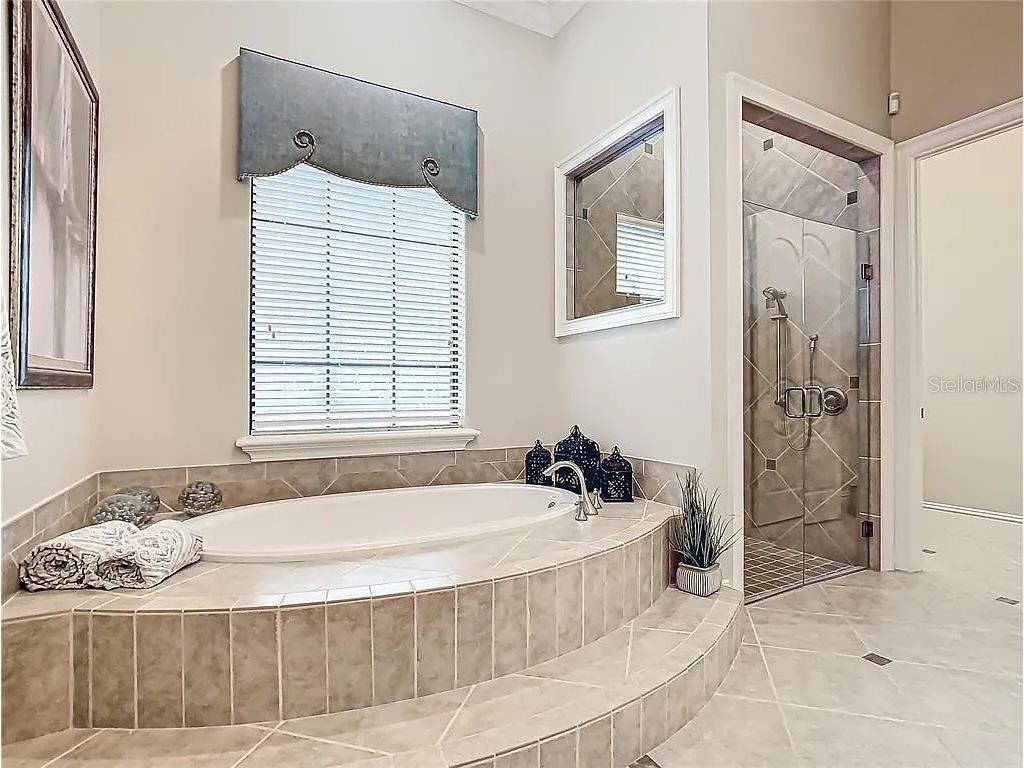 395 Muirfield Loop Reunion FL 34747 TB8418269 image40