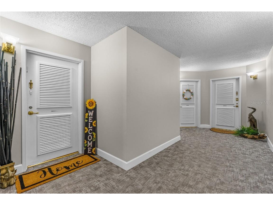 395 S Atlantic Avenue #402 Ormond Beach FL 32176 FC312024 image29