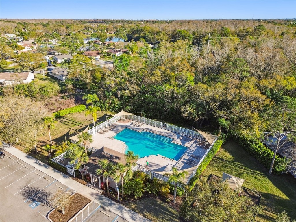 395 Wingate Circle Oldsmar FL 34677 TB8450027 image68