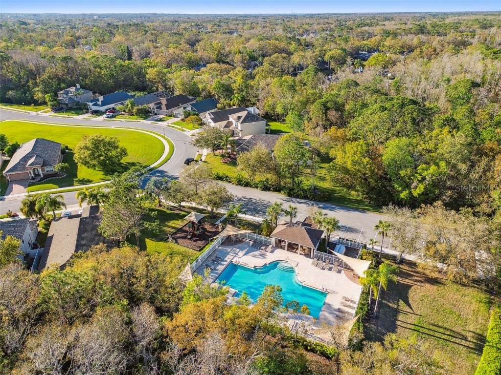 395 Wingate Circle Oldsmar FL 34677 TB8450027 image7