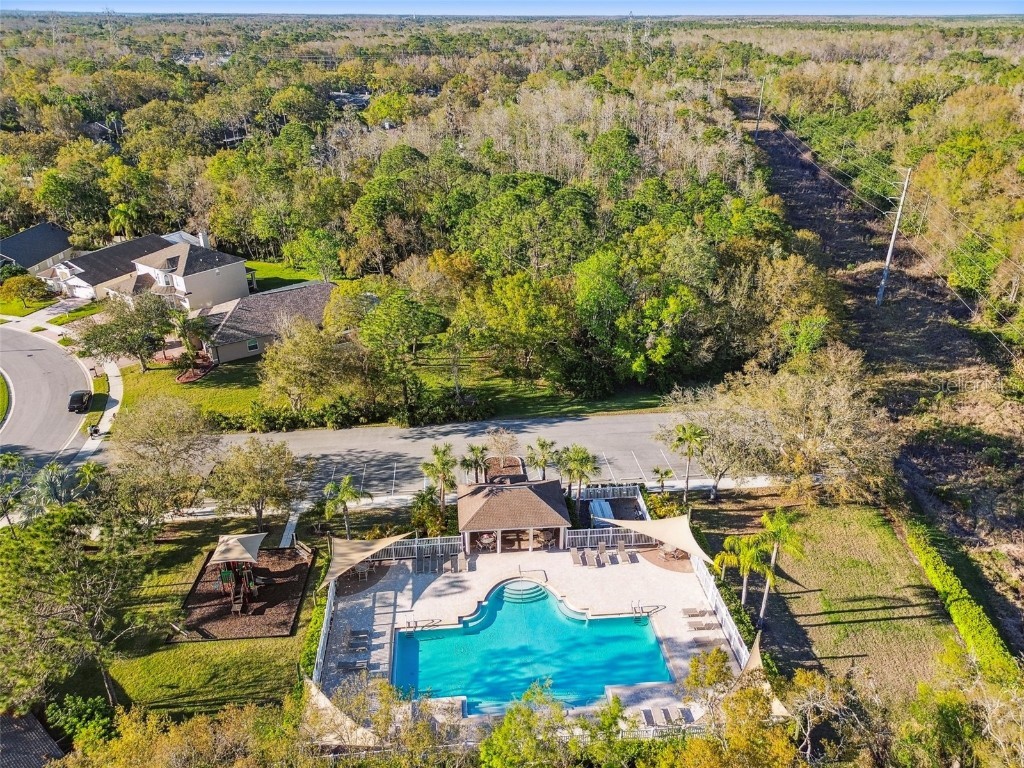 395 Wingate Circle Oldsmar FL 34677 TB8450027 image71