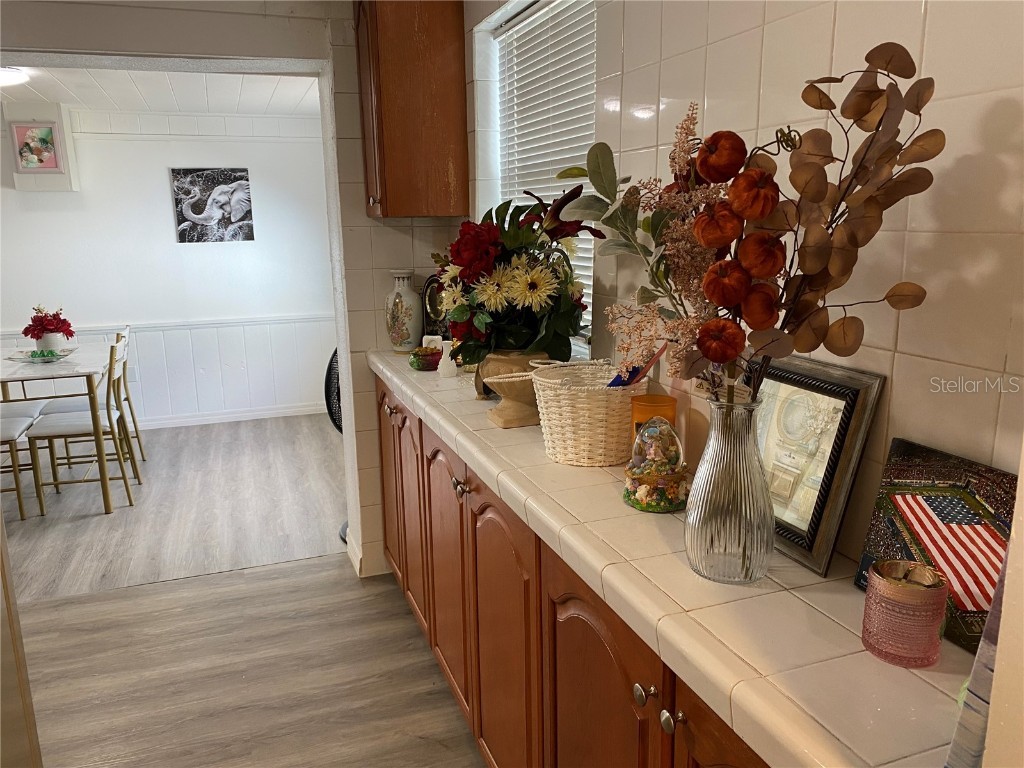 3950 45th Avenue N Saint Petersburg FL 33714 TB8444769 image25