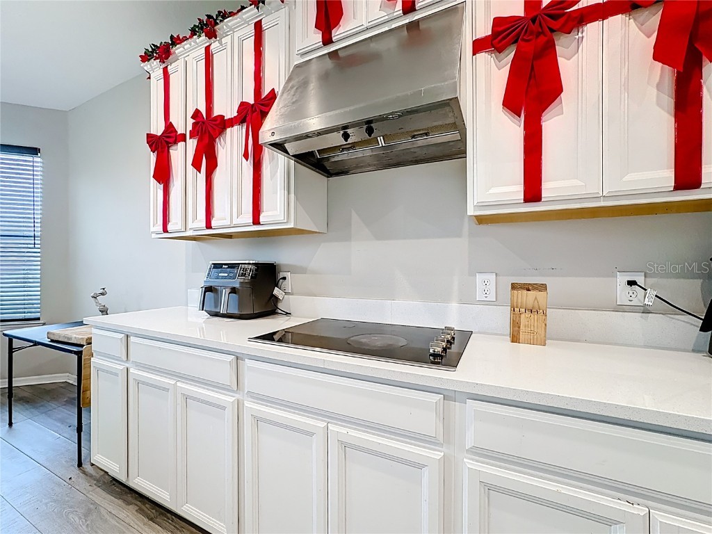 3950 Carrick Bend Drive Kissimmee FL 34746 - LAKE TOHO TB8455695 image15