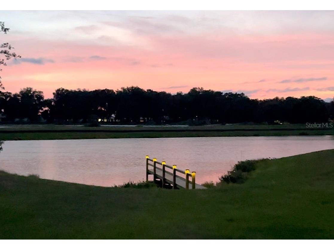 3950 Carrick Bend Drive Kissimmee FL 34746 - LAKE TOHO TB8455695 image2