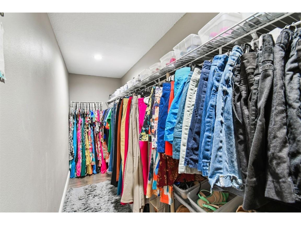 39501 Meadowood Loop Zephyrhills FL 33542 TB8436864 image47