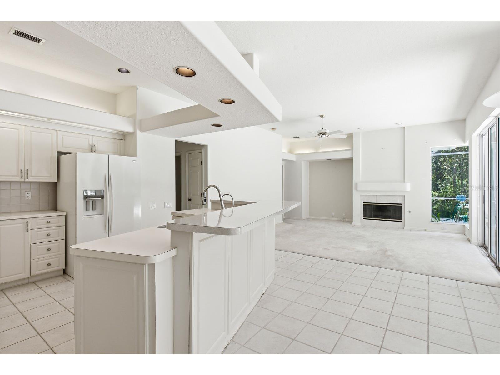 3951 Brightside Lane Palm Harbor FL 34685 TB8527644 image14