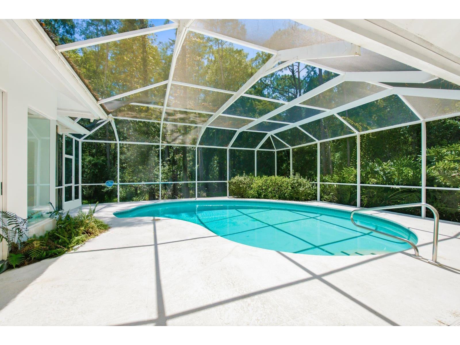3951 Brightside Lane Palm Harbor FL 34685 TB8527644 image2