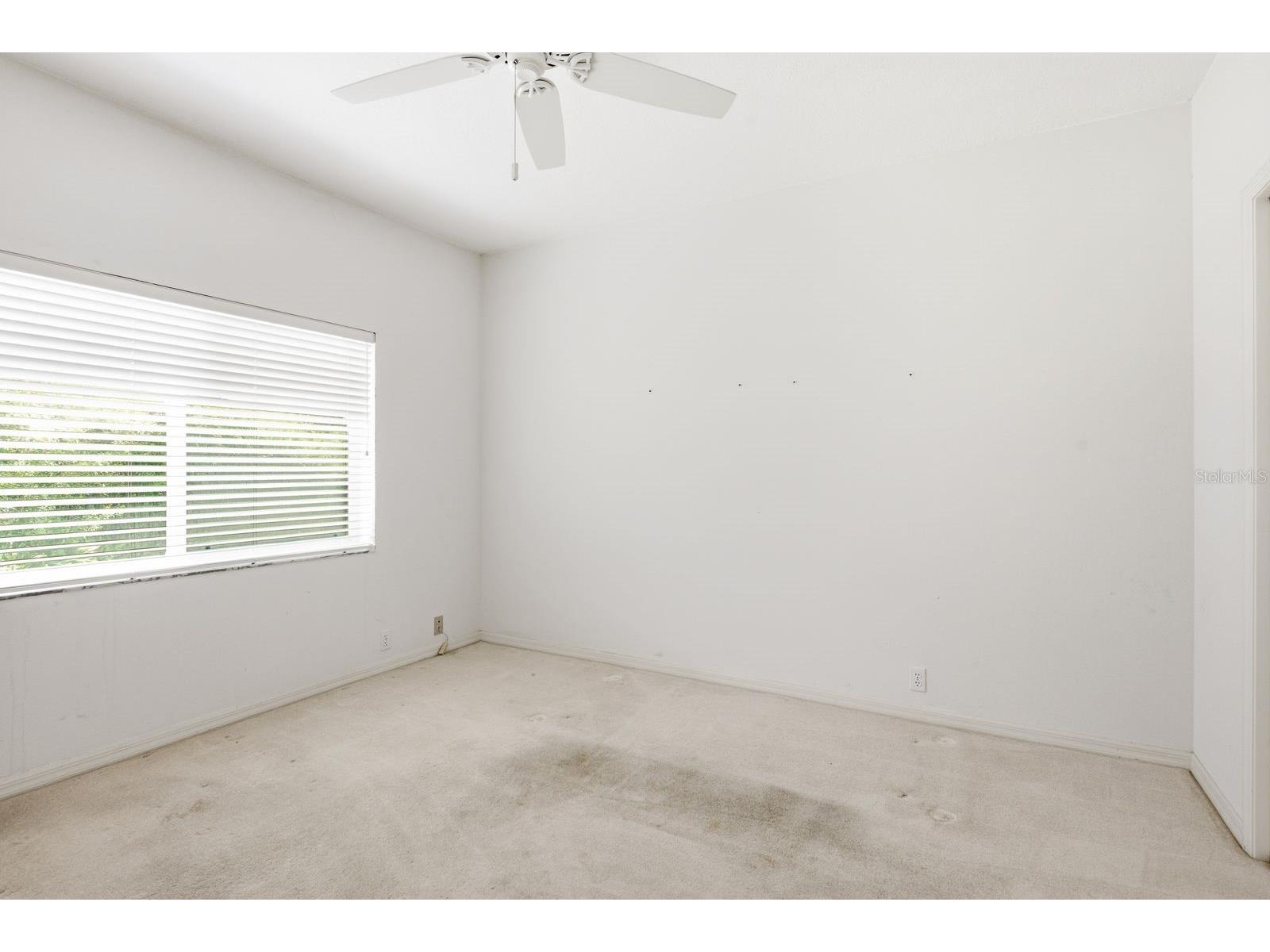 3951 Brightside Lane Palm Harbor FL 34685 TB8527644 image29