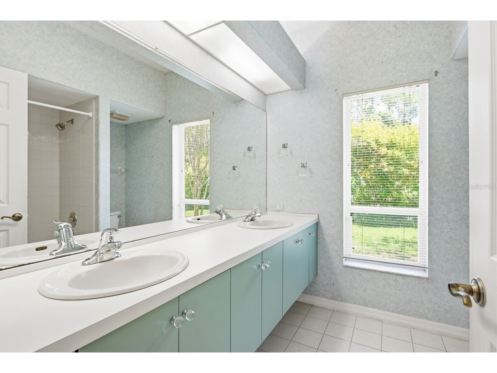 3951 Brightside Lane Palm Harbor FL 34685 TB8527644 image31