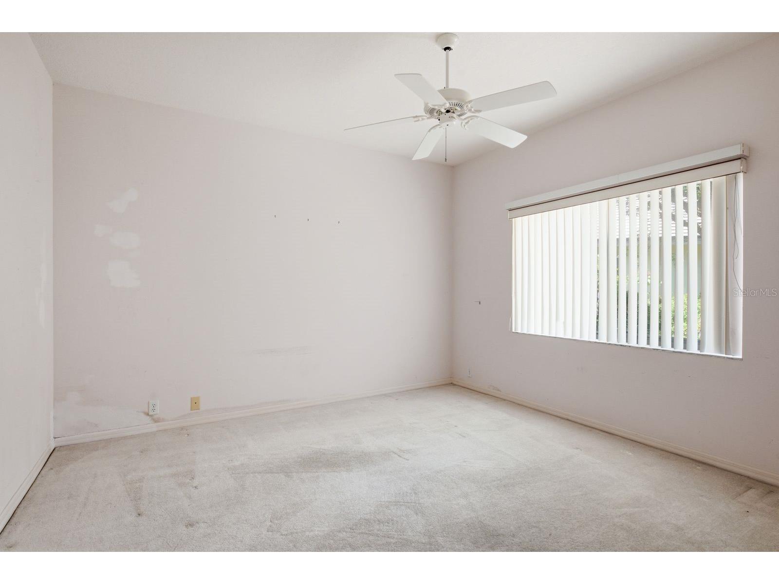 3951 Brightside Lane Palm Harbor FL 34685 TB8527644 image33
