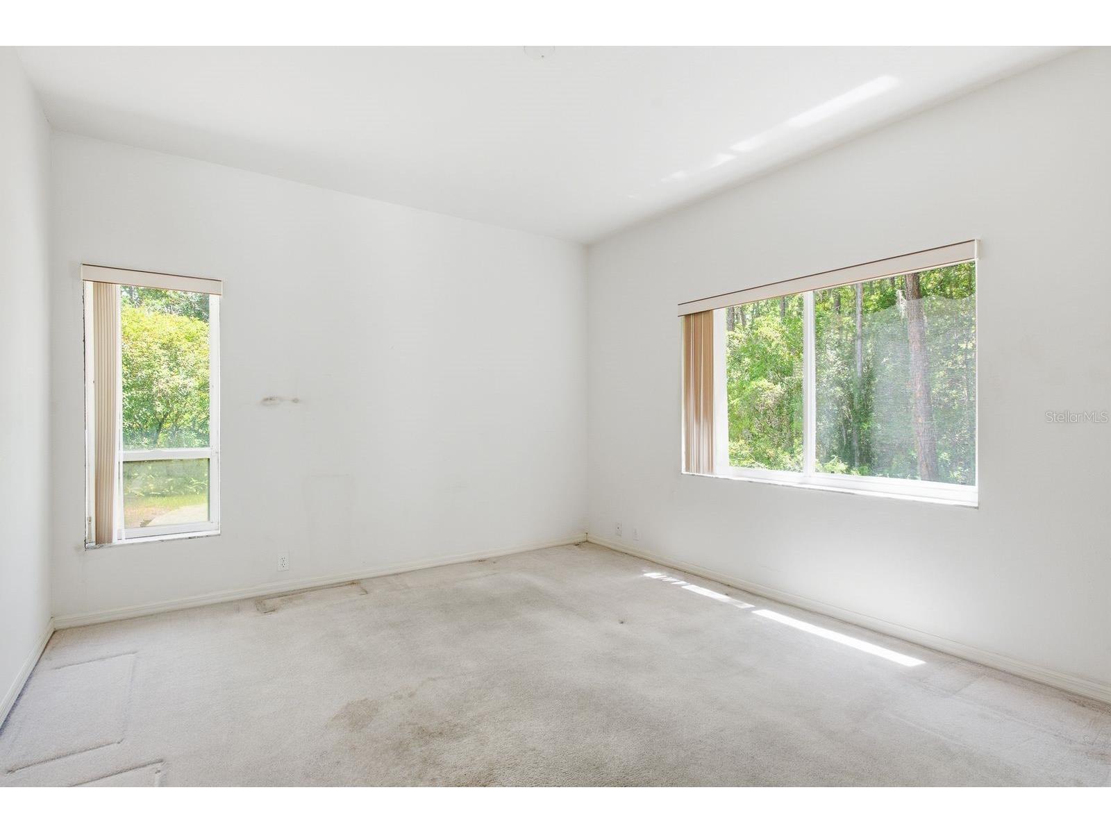 3951 Brightside Lane Palm Harbor FL 34685 TB8527644 image35