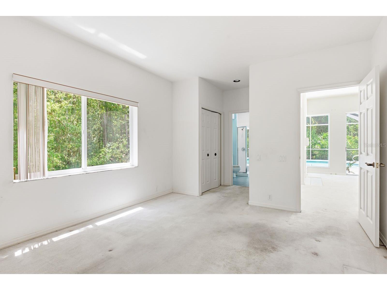 3951 Brightside Lane Palm Harbor FL 34685 TB8527644 image36