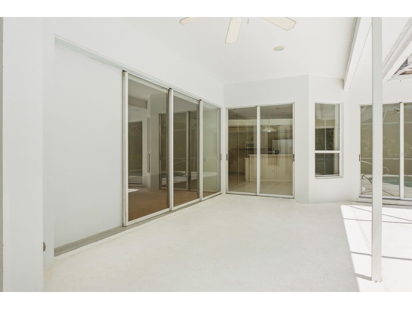 3951 Brightside Lane Palm Harbor FL 34685 TB8527644 image42