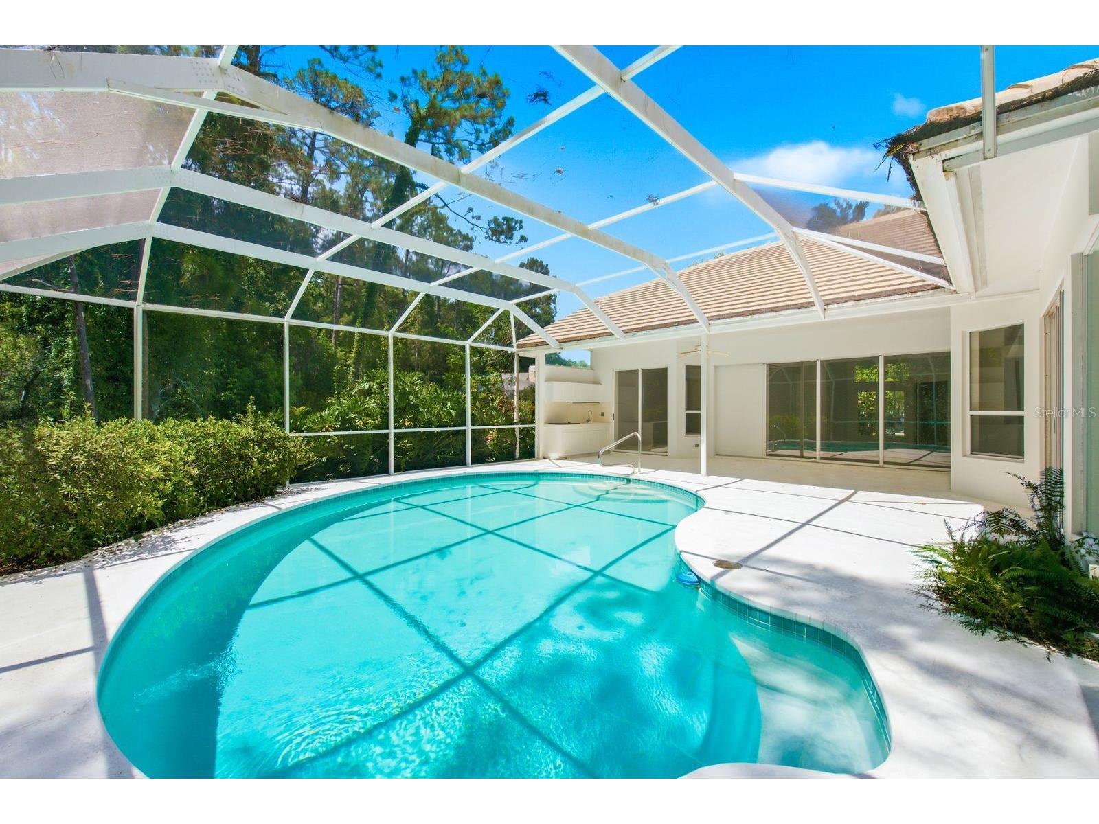 3951 Brightside Lane Palm Harbor FL 34685 TB8527644 image44