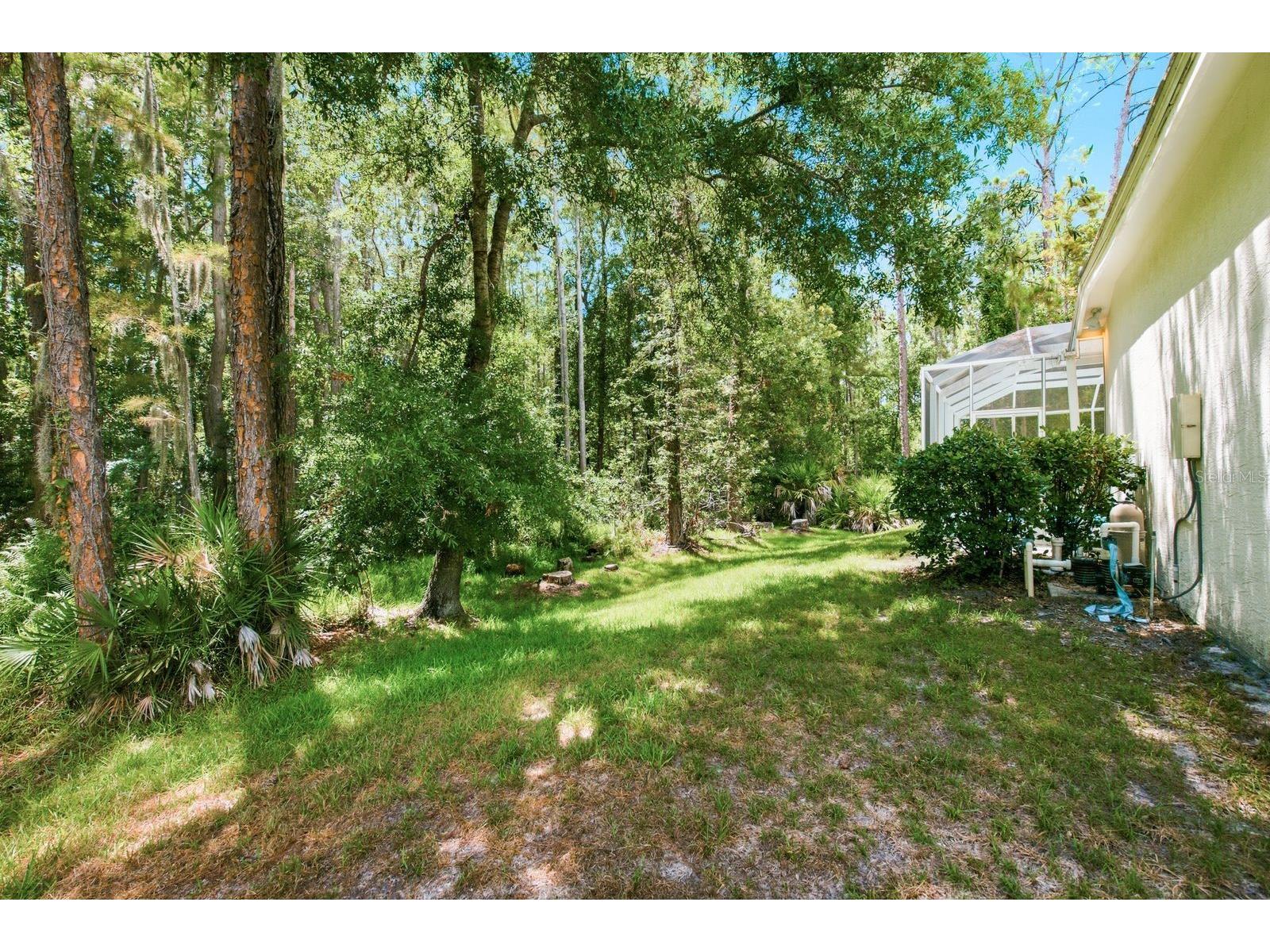 3951 Brightside Lane Palm Harbor FL 34685 TB8527644 image45