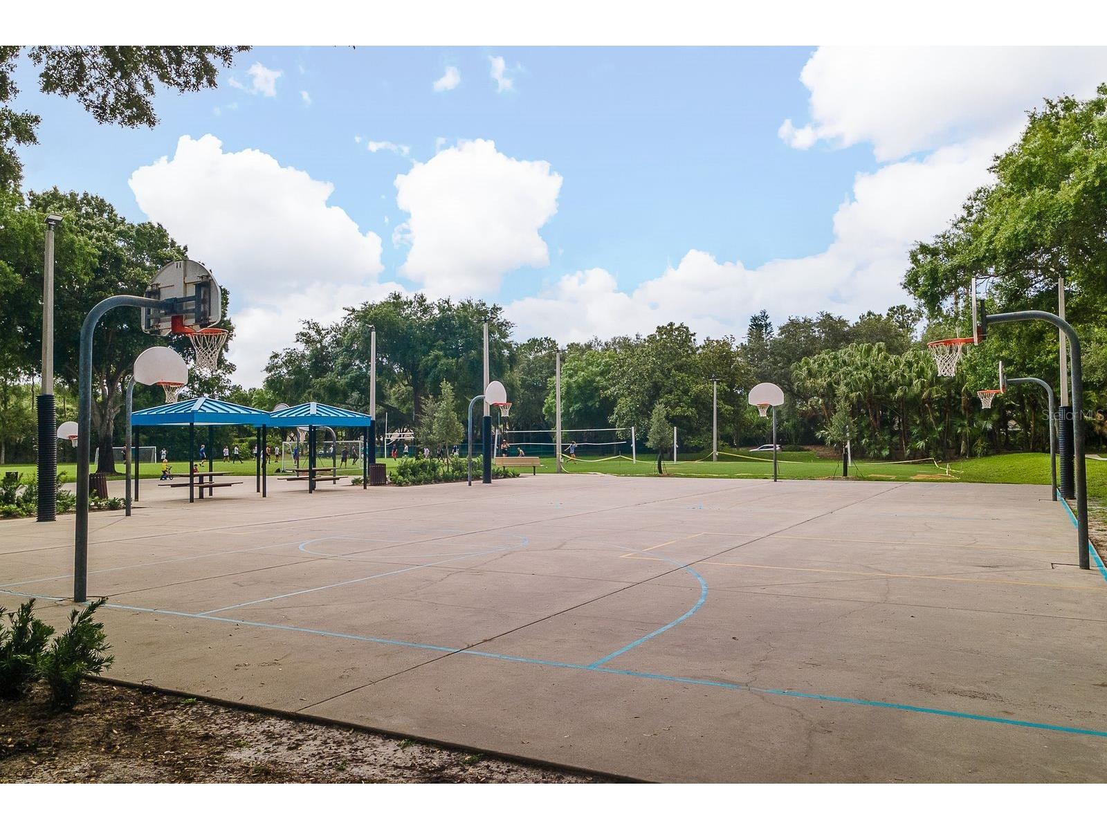 3951 Brightside Lane Palm Harbor FL 34685 TB8527644 image46