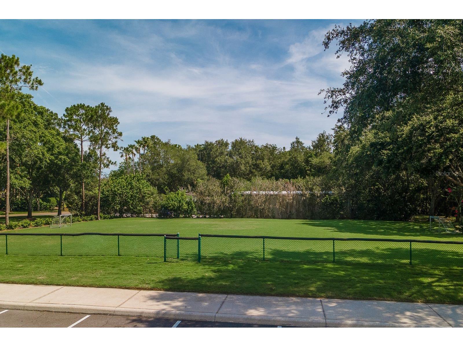 3951 Brightside Lane Palm Harbor FL 34685 TB8527644 image48