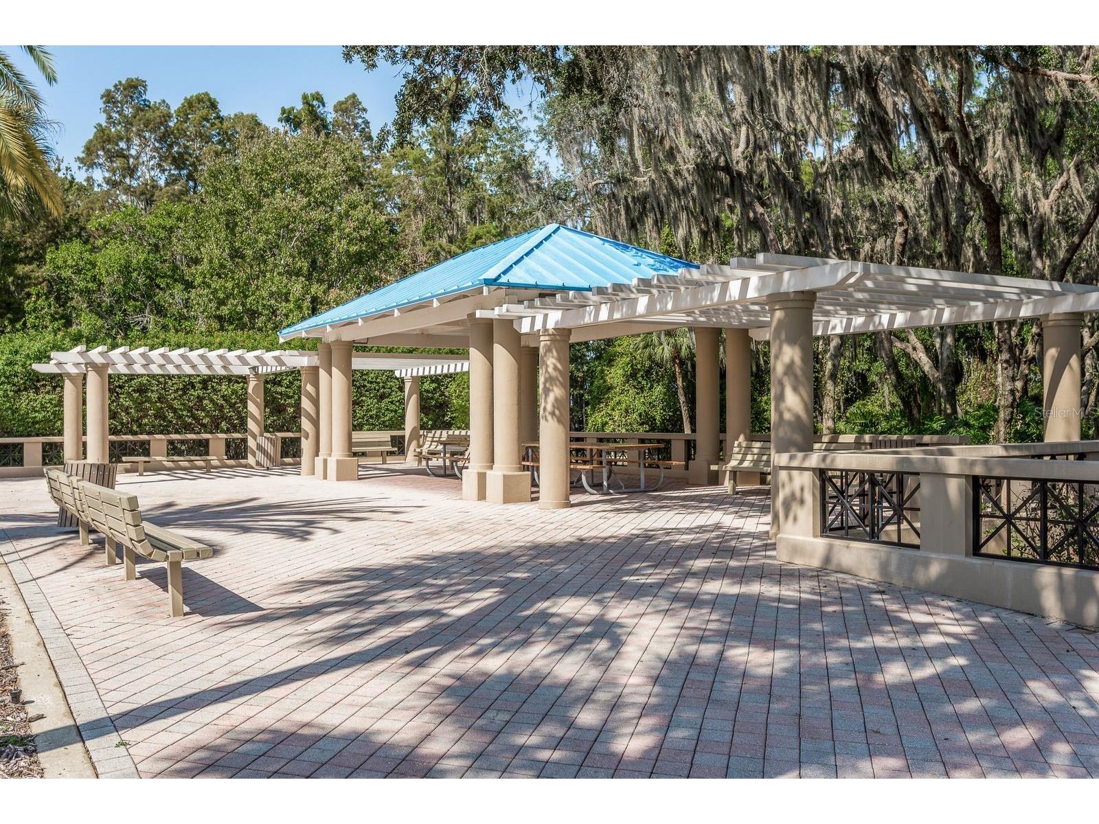 3951 Brightside Lane Palm Harbor FL 34685 TB8527644 image52