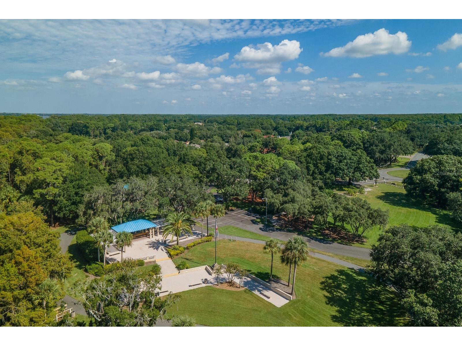 3951 Brightside Lane Palm Harbor FL 34685 TB8527644 image53