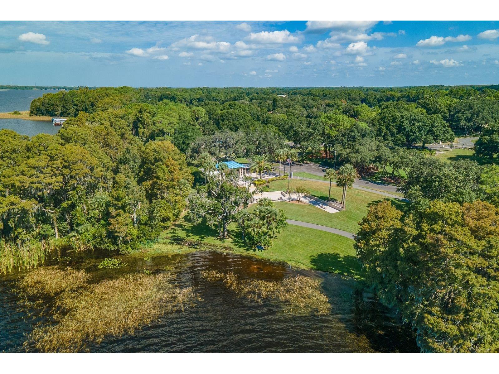 3951 Brightside Lane Palm Harbor FL 34685 TB8527644 image58