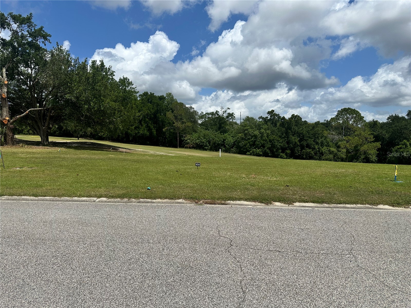 3951 Greenbluff Road #816 Zellwood FL 32798 O6404233 image2