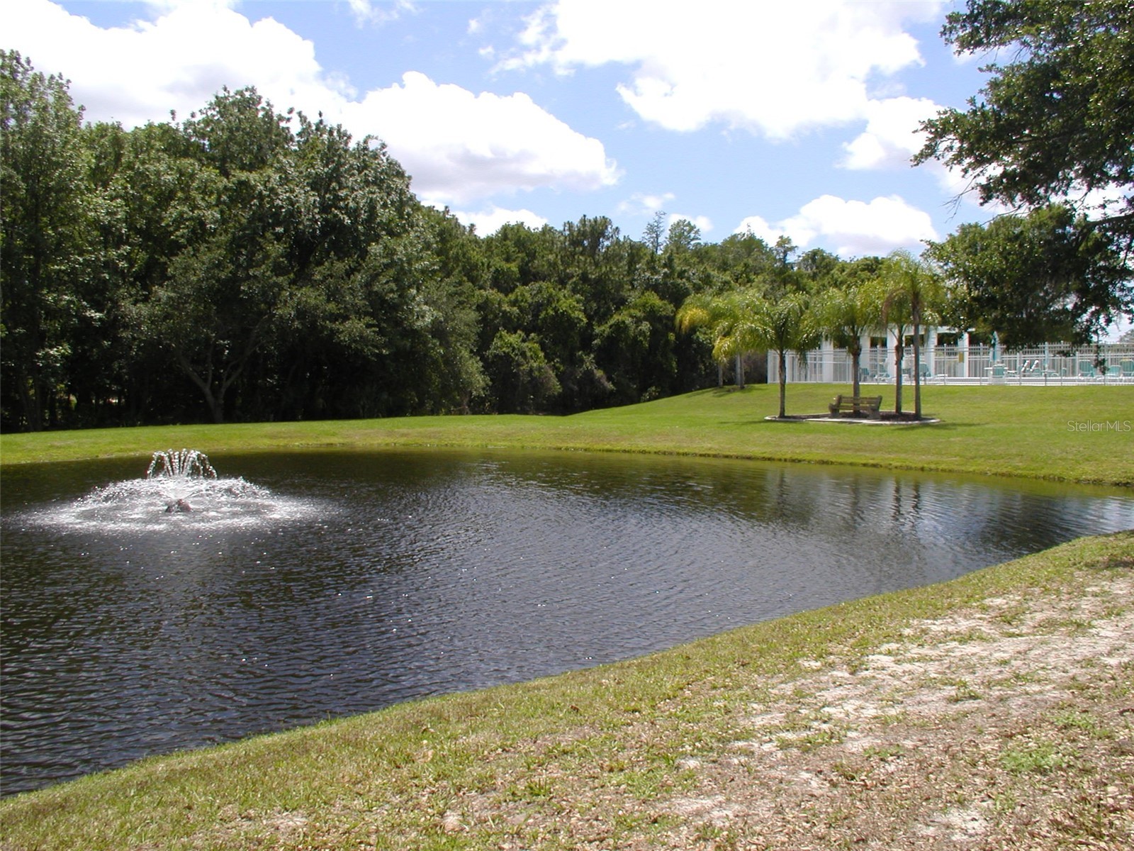 3952 Elvira Court New Port Richey FL 34655 TB8509501 image14