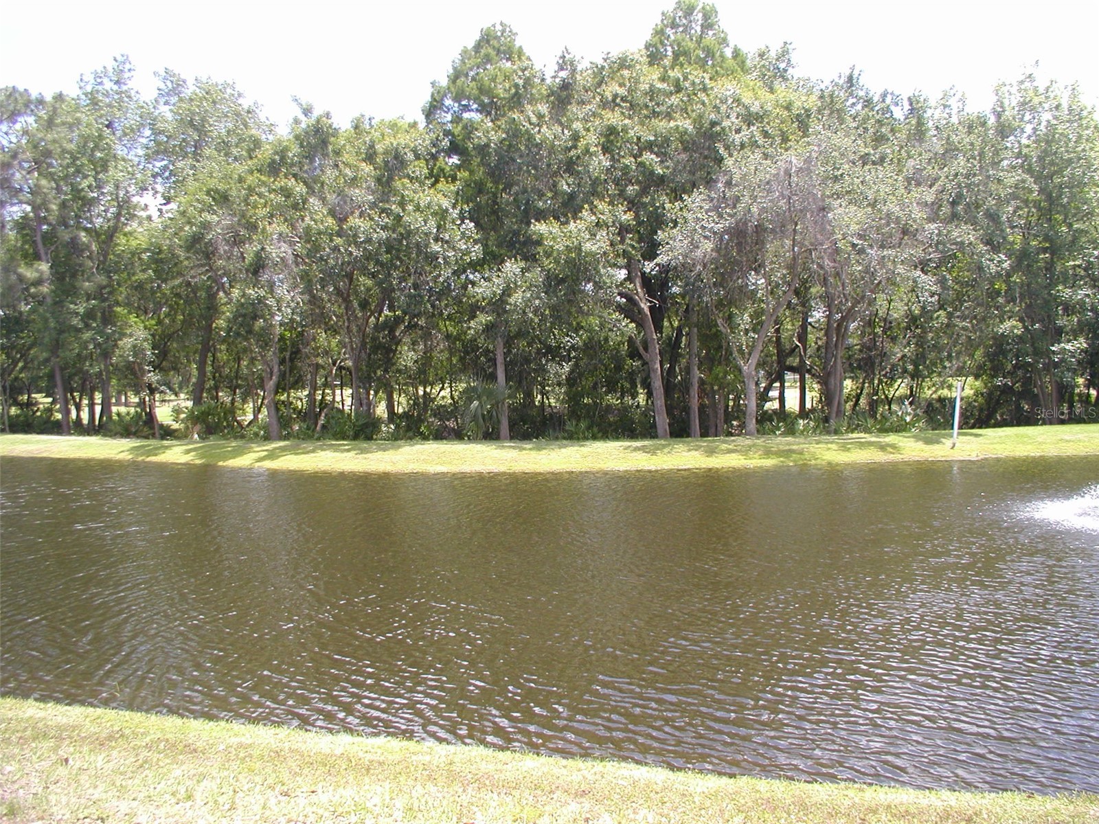 3952 Elvira Court New Port Richey FL 34655 TB8509501 image15