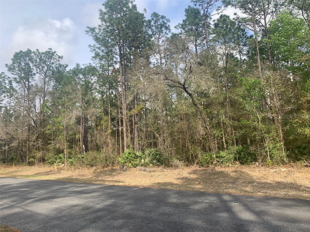 3952 N Buckhorn Drive Beverly Hills FL 34465 OM635811 image1