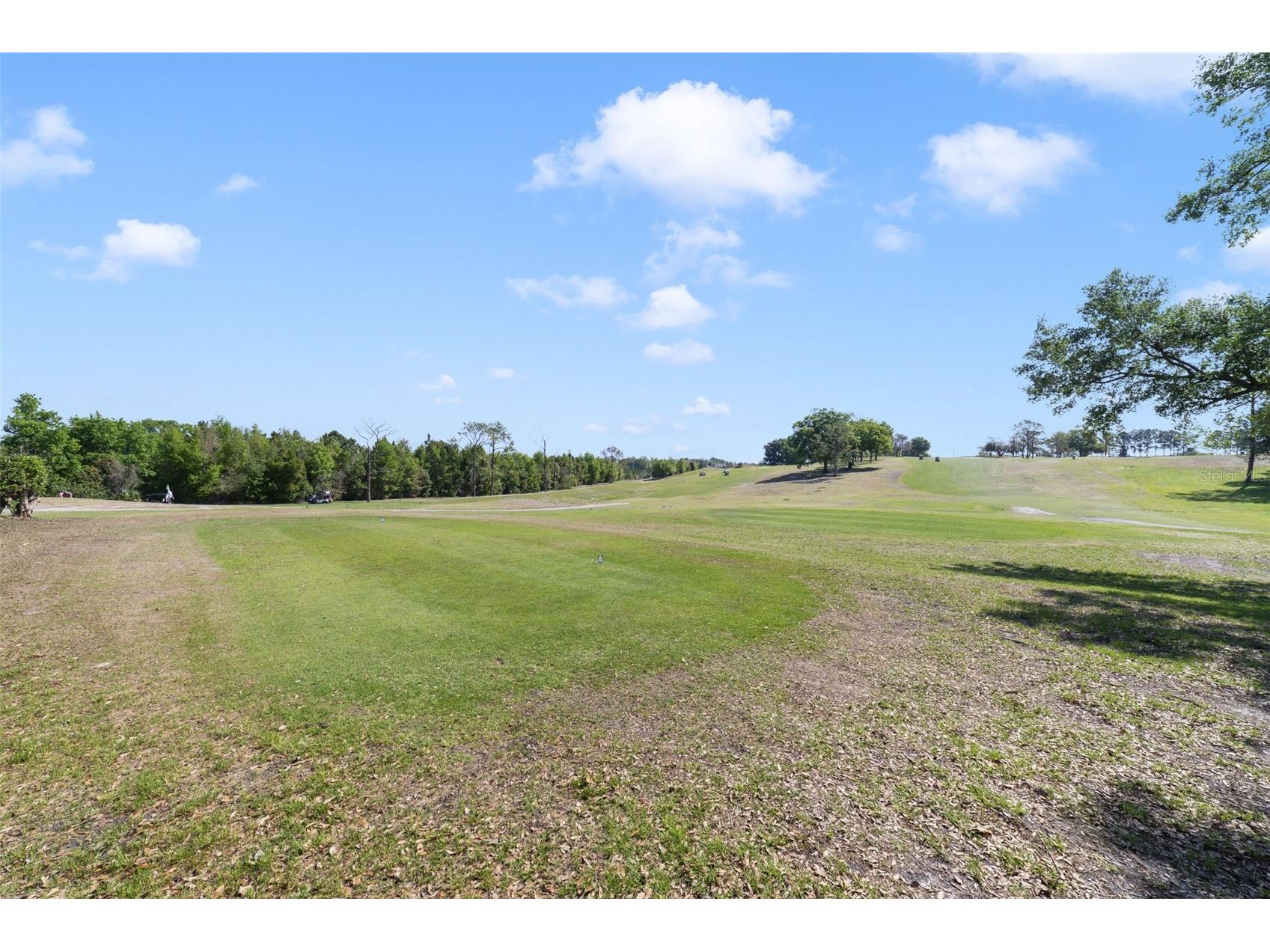 3952 N Citrus Circle #688 Zellwood FL 32798 O6389837 image24
