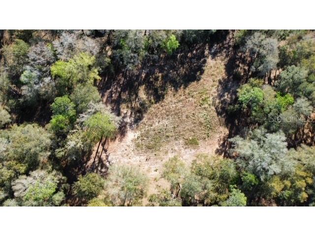 39536 Woodgate Lane Lady Lake FL 32159 G5078499 image1