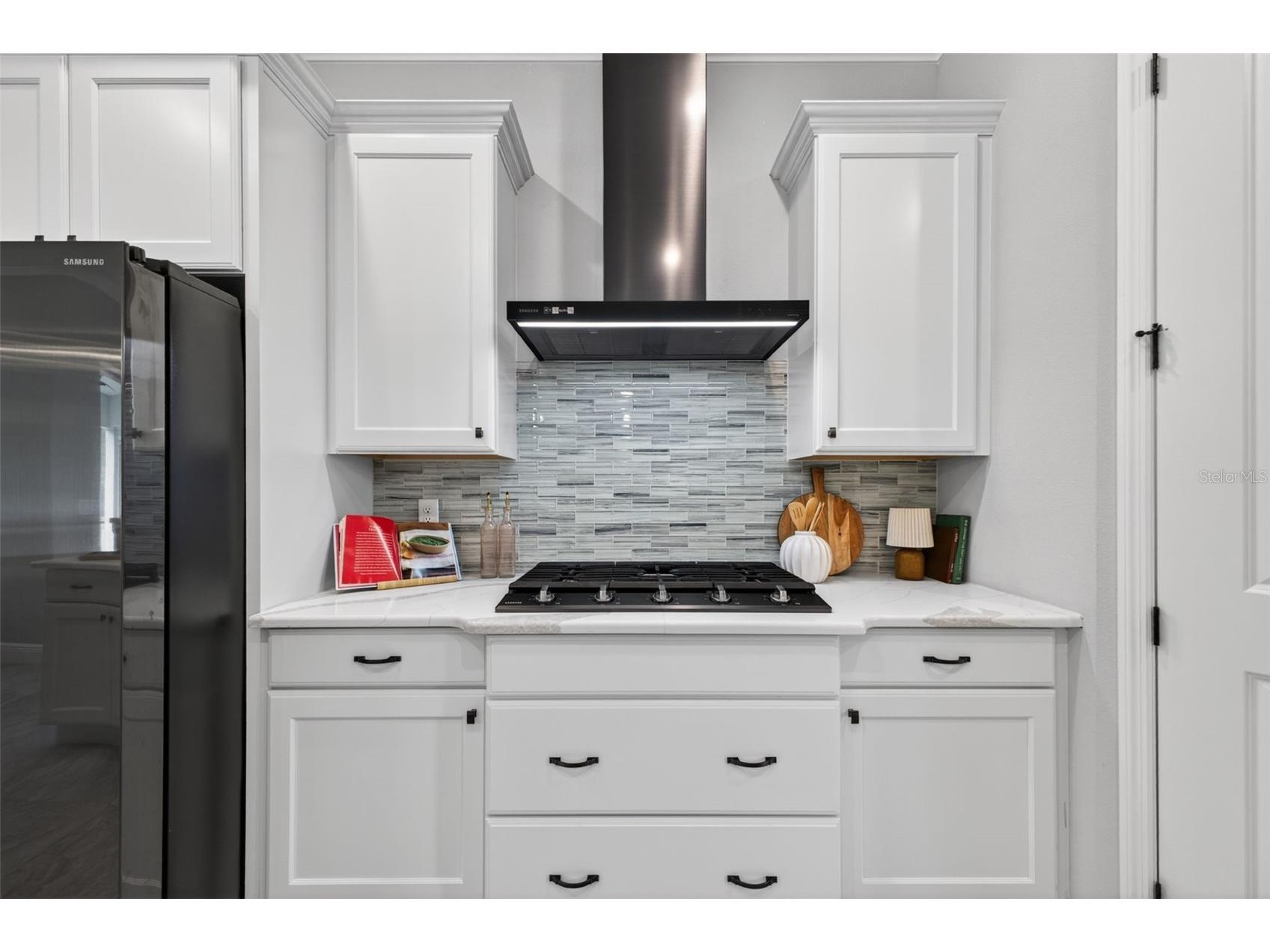 3954 Kennebunk Loop Mount Dora FL 32757 G5108727 image23