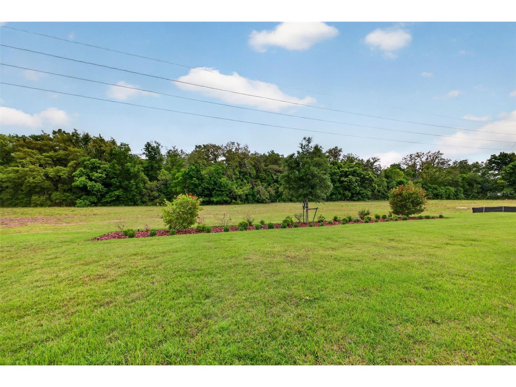 3954 Kennebunk Loop Mount Dora FL 32757 G5108727 image5