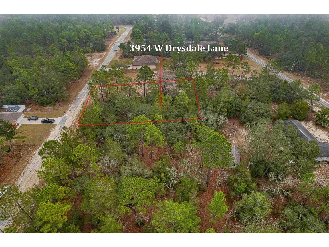 3954 W Drysdale Lane Citrus Springs FL 34433 TB8346363 image1