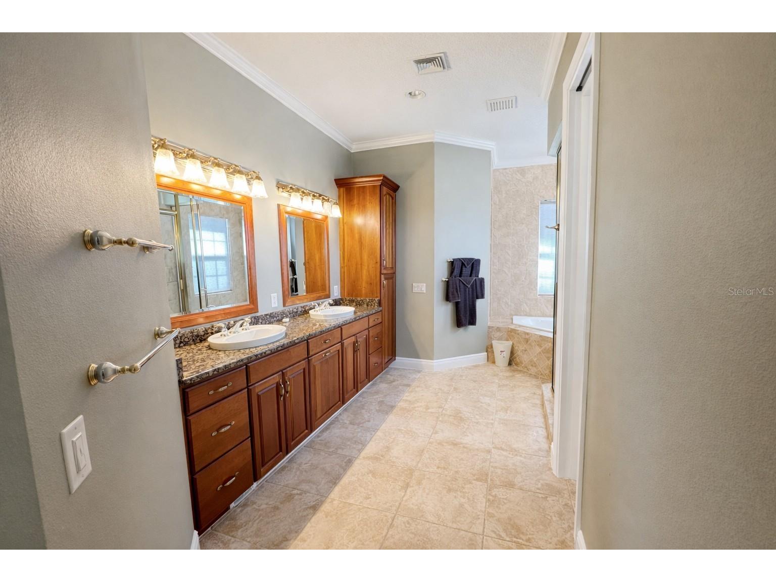 39545 Harbor Hills Boulevard Lady Lake FL 32159 O6386381 image19