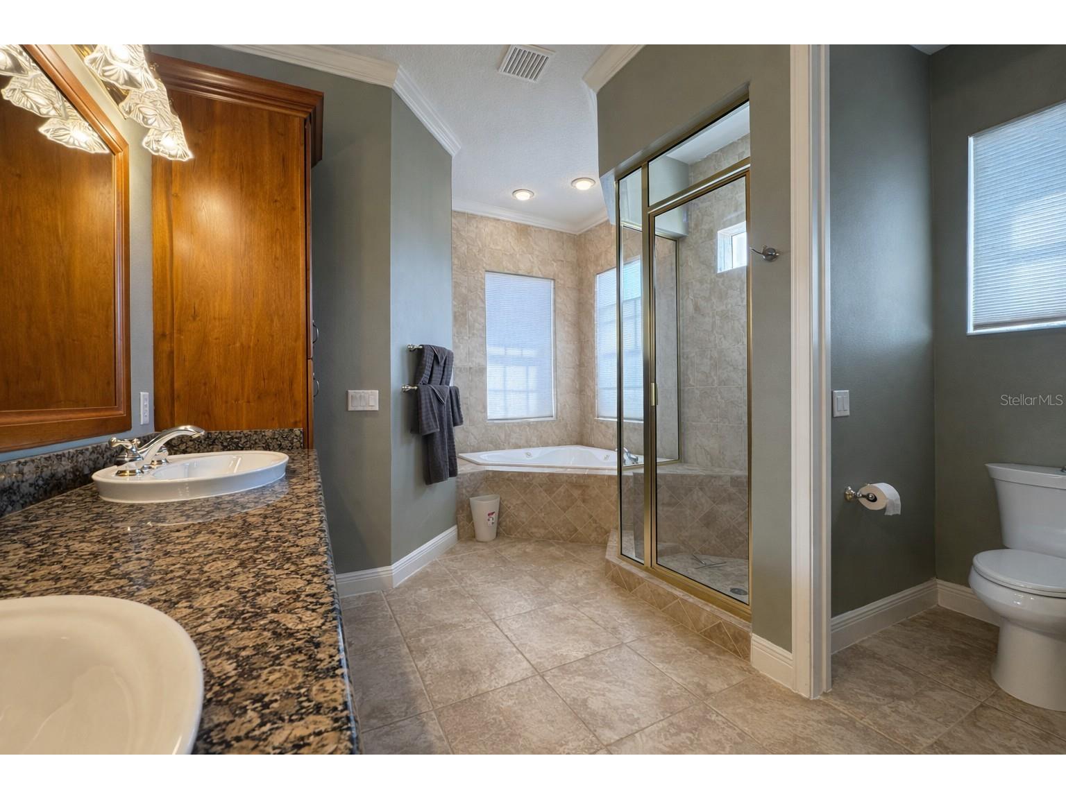 39545 Harbor Hills Boulevard Lady Lake FL 32159 O6386381 image20