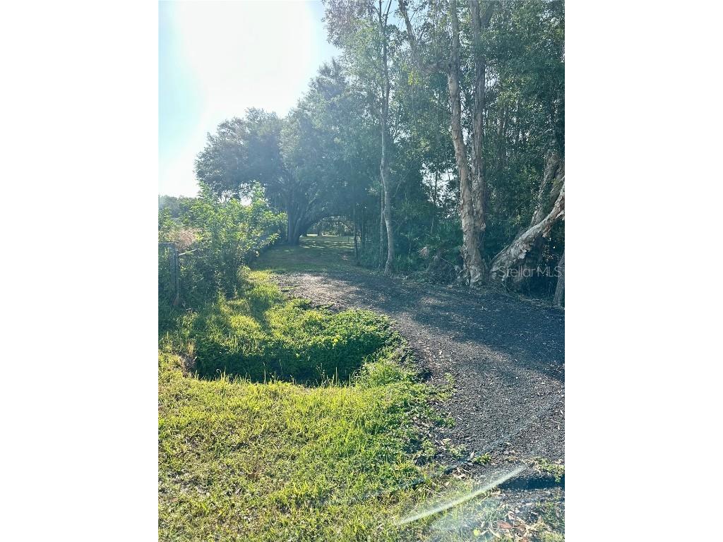 3955 Crosley Avenue Saint Cloud FL 34772 S5126439 image8