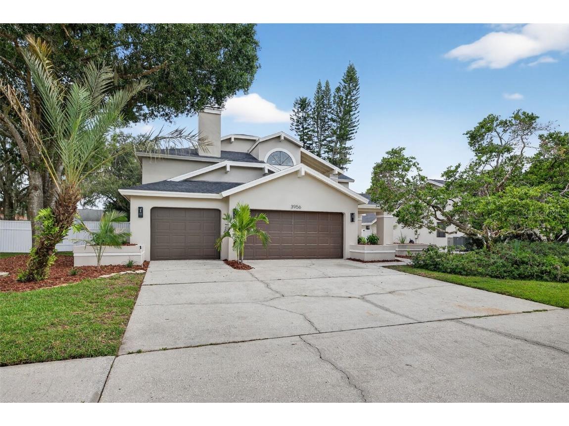 3956 Belmoor Drive Palm Harbor FL 34685 TB8424607 image1