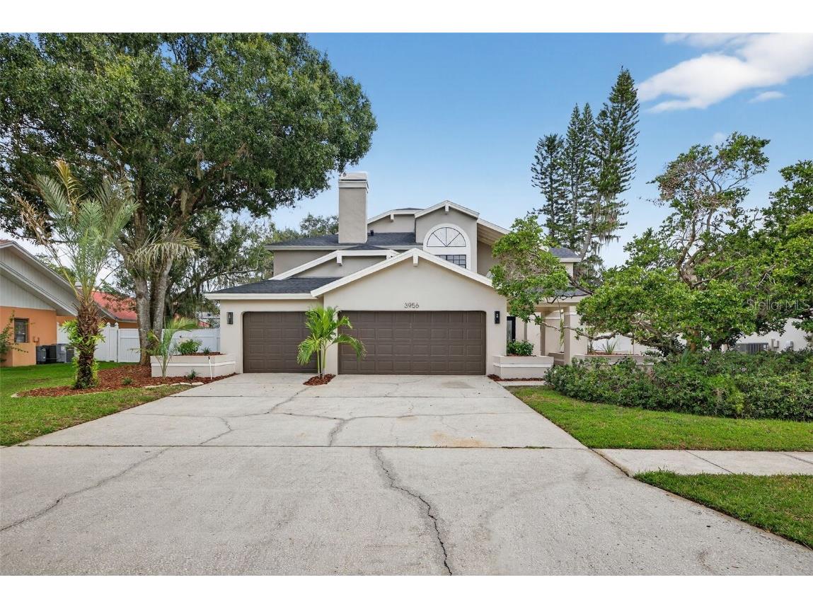 3956 Belmoor Drive Palm Harbor FL 34685 TB8424607 image2