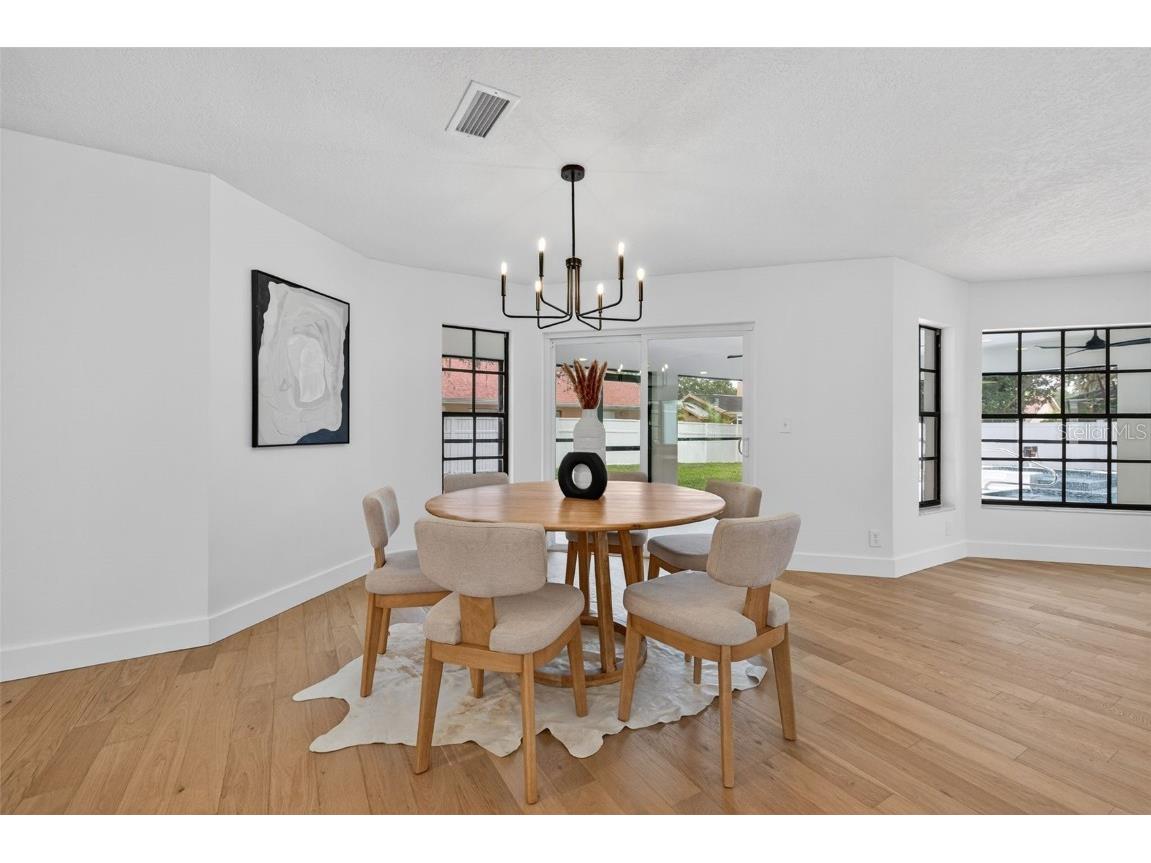 3956 Belmoor Drive Palm Harbor FL 34685 TB8424607 image24