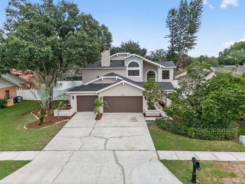 3956 Belmoor Drive Palm Harbor FL 34685 TB8424607 image3