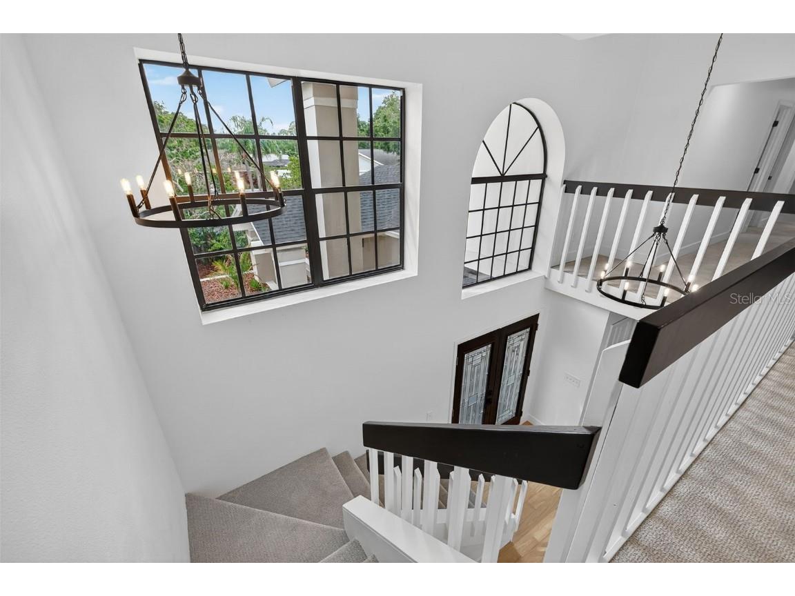 3956 Belmoor Drive Palm Harbor FL 34685 TB8424607 image37