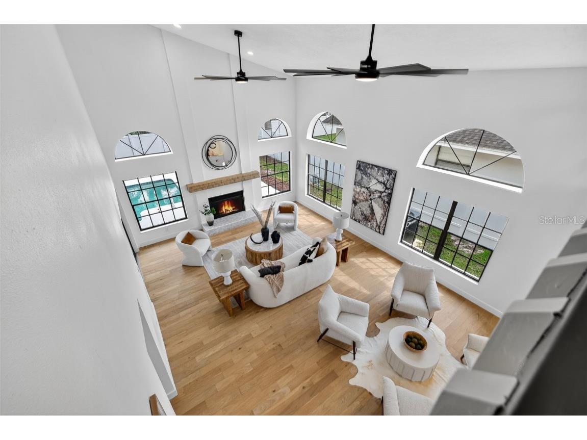 3956 Belmoor Drive Palm Harbor FL 34685 TB8424607 image38