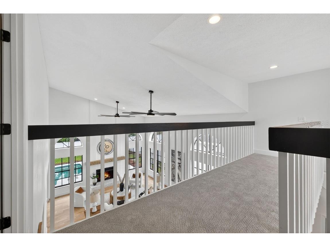 3956 Belmoor Drive Palm Harbor FL 34685 TB8424607 image41