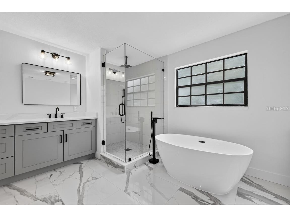 3956 Belmoor Drive Palm Harbor FL 34685 TB8424607 image45