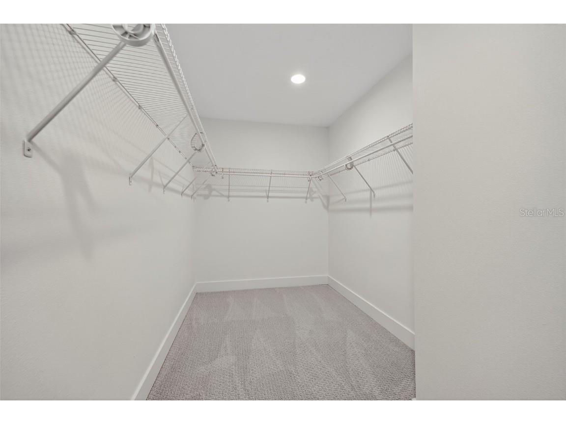 3956 Belmoor Drive Palm Harbor FL 34685 TB8424607 image50