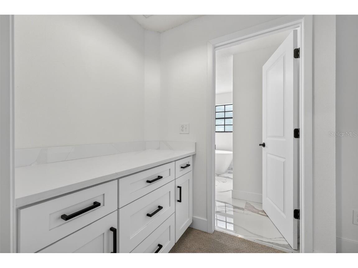 3956 Belmoor Drive Palm Harbor FL 34685 TB8424607 image51